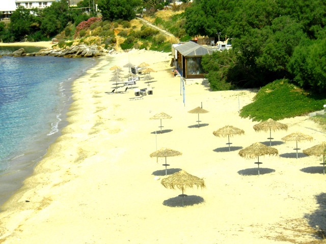 OLYMPUS DIGITAL CAMERA Psilli amos