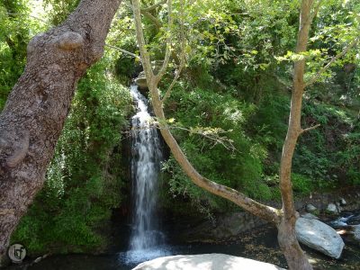 Γέφυρα Πλατανιστού